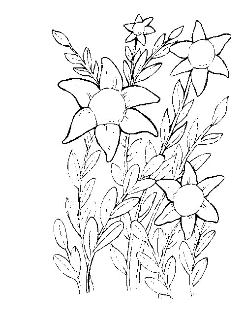 Plansa de colorat cu Flori 26 19